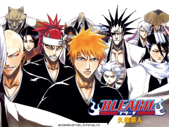 bleach &nbsp;